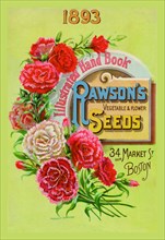 Rawson's Vegetable and Flower Seeds 1893