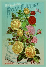 Our New Guide to Rose Culture, 1894 1894