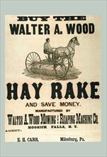 Buy the Walter A. Wood Hay Rake