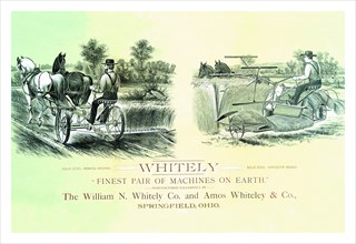 Whitely - Finest Pair of Machines on Earth