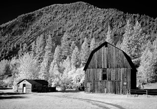Barn, rural Montana 2007