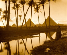 Egypt. Cairo. The three pyramids seen through palm grove 1936