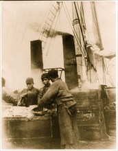 Japanese crewmen working aboard the bark CALIFORNIA, off the coast of Japan. 1903