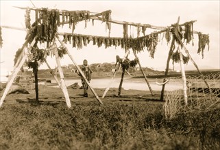Drying whale meat--Hooper Bay 1929