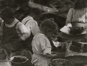 3 year old girl and 2 boys hulling berries at Johnson's Canning Camp 1910