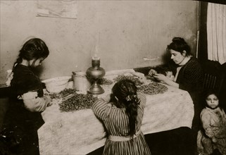 Picking Nuts in squalor and poverty  in a basement tenement apartment 1911