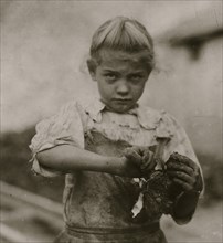 7-year old Rosie. Regular oyster shucker.  1908