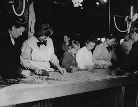 A group sorting peas at the table in Ross's Cannery, Seaford, Del. The little fellow in the photo is a full fledged sorter. He is 5 years of age. Many such children work steadily in the Cannery, and s...