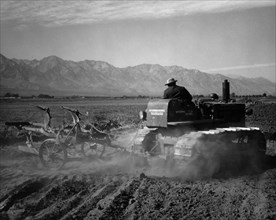 Benji Iguchi driving tractor in field 1943
