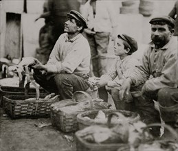 A Typical Fisher Boy at "T" Wharf selling fish with Dad. 1909