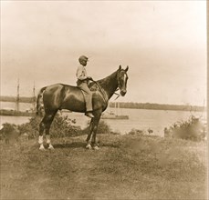 Gen. Rawlin's horse taken at Cold Harbor, Va. 1863