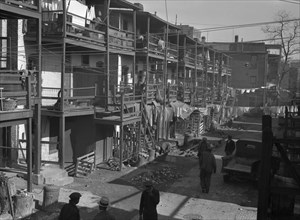African American Slums. Washington, D.C.

 1935