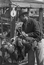 African American Weighing chickens in produce market, San Antonio, Texas 1938