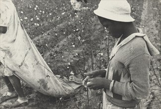 African American Young cotton picker, Pulaski County, Arkansas.  1935