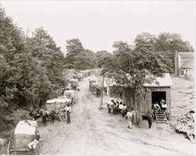 African Americans around small building and wagons loaded with cotton 1922