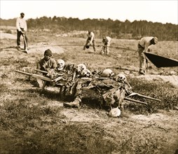 African Americans collecting bones of soldiers killed in the battle 1865