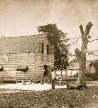 African Americans preparing cotton for the gin on Smith's plantation 1862