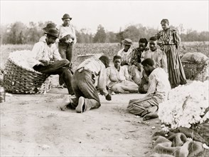 African Americans resting and shooting dice at edge of cotton field 1900