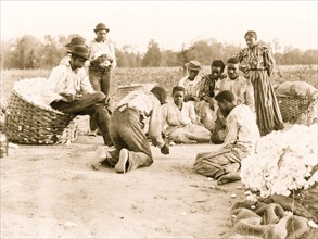 African Americans resting and shooting dice at edge of cotton field 1900