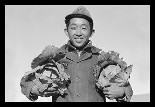 Richard Kobayashi, Framer with Cabbages 1943