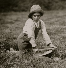 11 year of Portuguese picker. 1911
