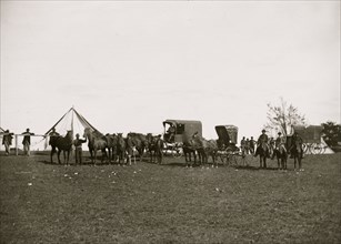 Army of the Potomac. Wagons and horses attached to repair Department in charge of Captain Pierce 1863