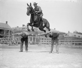 A Jump in Military Arms 1924