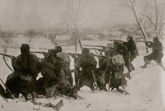 Austrians in the Bukowina