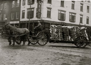 Bales of cotton going to the mill. 1916