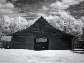 Barn, Dothan, Alabama 2010
