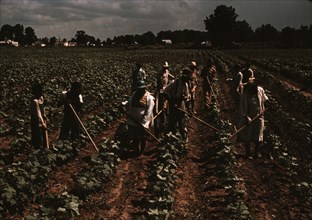 Bayou Bourbeau plantation operated by Bayou Bourbeau Farmstead Association, a cooperative established through the cooperation of FSA, Natchitoches, La. 1940