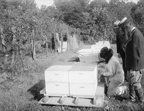 Bee Storage 1919