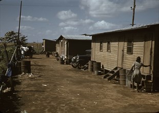 Black migratory workers by a shack, Belle Glade,  1941