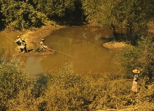 Blackes fishing in creek near cotton plantations outside Belzoni, Miss. 1939