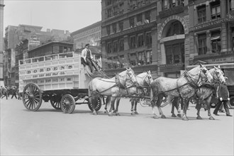 Borden Dairies enter a Horse Drawn Wagon in the Work Horse Parade 1908
