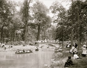 Bridge in the woods, Belle Isle [Park], Detroit 1903