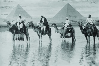 Camels with Native Riders on board stand in reflective floodwaters with a backdrop of the Pyramids of Giza In Egypt