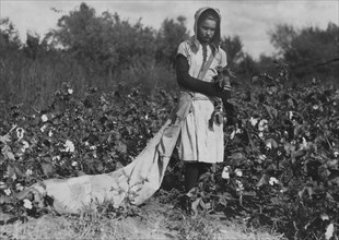 11 year old girl picks 75 to 125 pounds of cotton a day, and totes 50 pounds of it when sack gets full.  1916