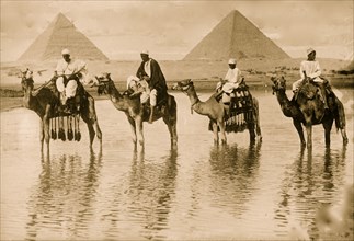 Camel men & pyramids, Egypt