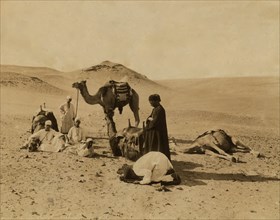 Camels rest as men stop for prayer in the Egyptian desert. 1880