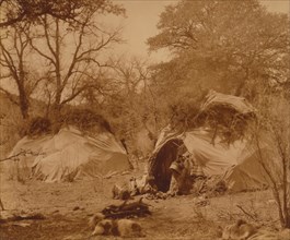 A camp among the oaks 1903