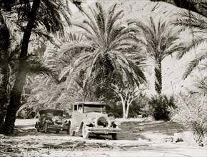 Cars Travel the Sinai Desert 1925