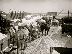 Carts haul snow and ice to the river for dumping in the East River in new York; horse drawn carts are loaded 1888