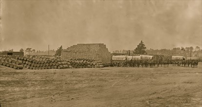 Cedar Level, Va. Commissary depot with supply train wagons 1864
