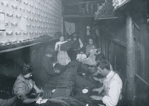 Children Strip Tobacco Leaves in Cigar Factory 1912