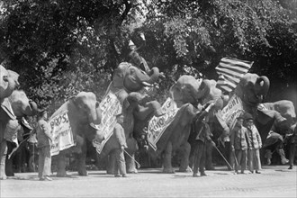 Circus Elephants Visit the White House 1921