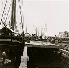 City Point, Virginia. Transports at wharf 1863