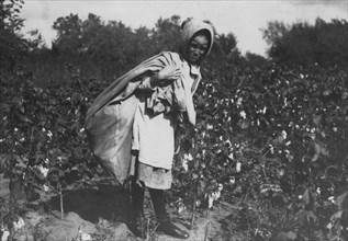Cleo Campbell, 9 years old, picks 75 to 100 pounds of cotton a day.  1916