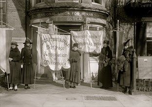 Scandinavian Woman's Suffrage Association of Minnesota 1913