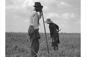 Cotton sharecroppers 1937